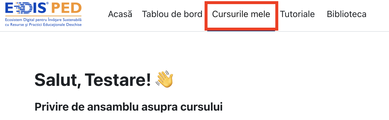 Cursurile mele