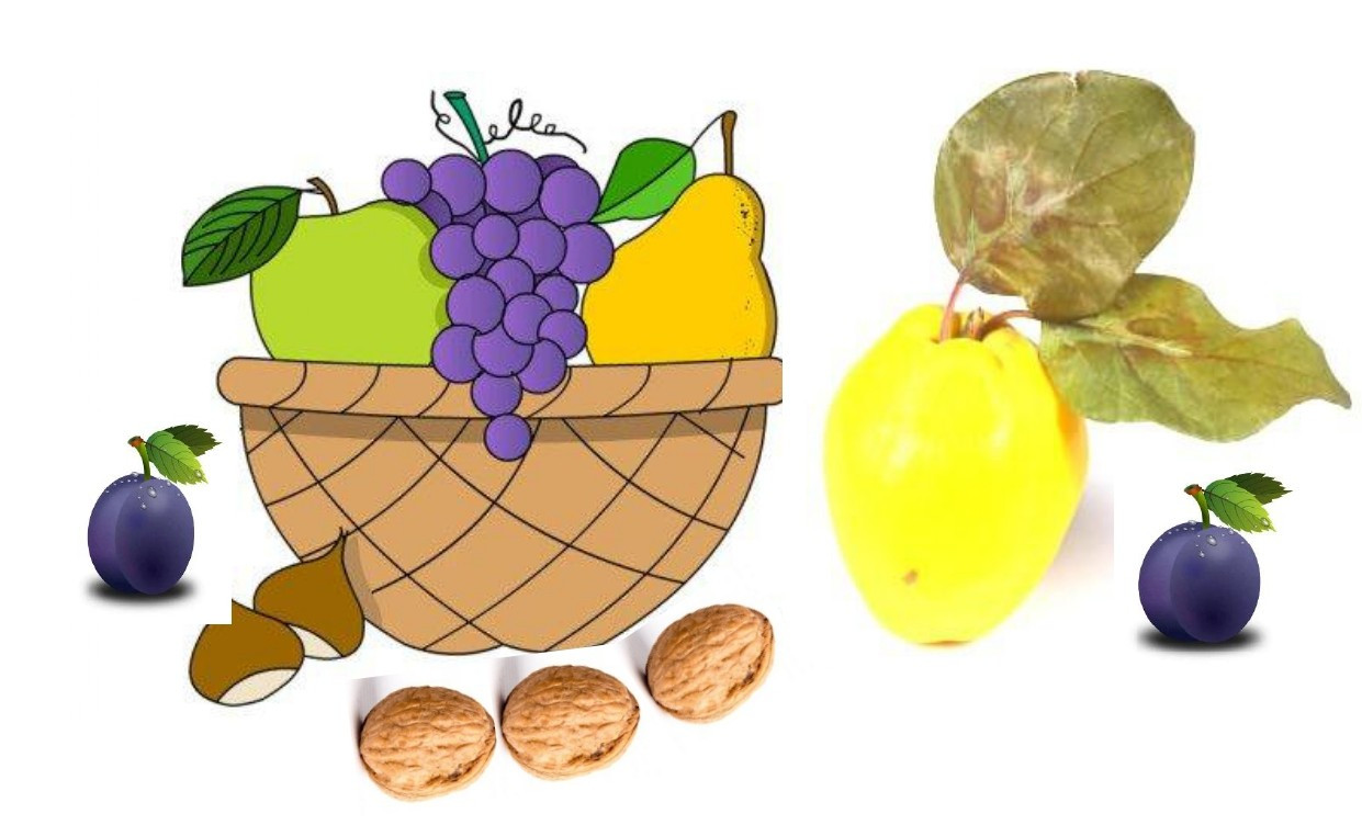 Denumește fructele toamnei!