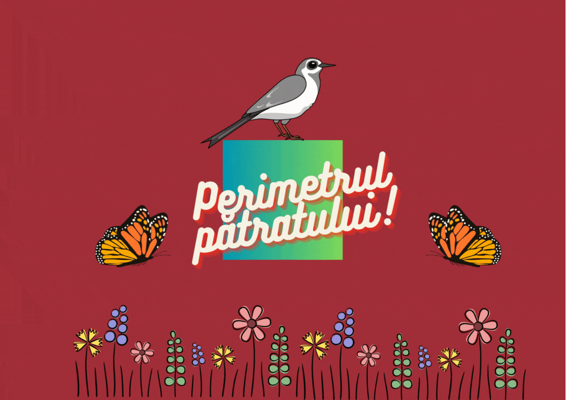 Perimetrul pătratului
