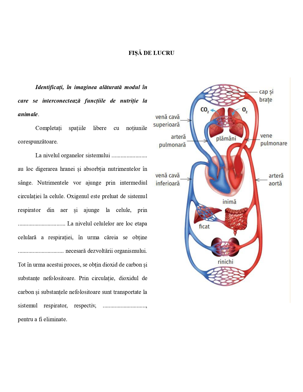 Asigurarea feedback-ului