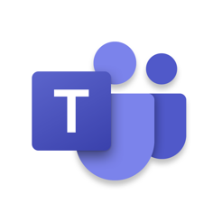 MS Teams Meeting icon